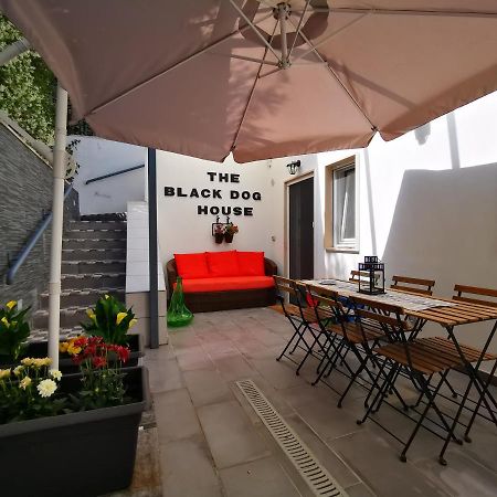 The Black Dog House Valenzano Bagian luar foto